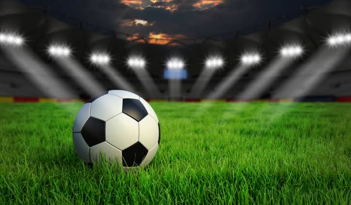 Professional Stadium Zoysia Grass Installation for a Healthy Lawn 1 Professional Stadium Zoysia Grass Installation